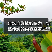足坛自媒体影响力:突破传统的内容变革之道(图4) 足坛自媒体影响力:突破传统的内容变革之道(图4)