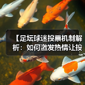 【足坛球迷投票机制解析:如何激发热情让投票更公平】(图1) 【足坛球迷投票机制解析:如何激发热情让投票更公平】(图1)