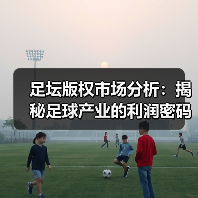足坛版权市场分析:揭秘足球产业的利润密码(图2) 足坛版权市场分析:揭秘足球产业的利润密码(图2)