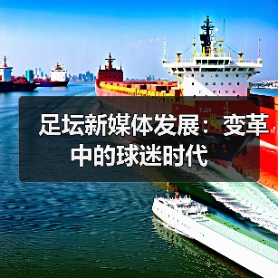 足坛新媒体发展:变革中的球迷时代(图4) 足坛新媒体发展:变革中的球迷时代(图4)