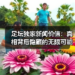 足坛独家新闻价值：真相背后隐藏的无限可能（图2）