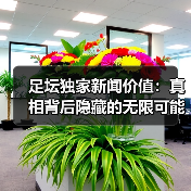 足坛独家新闻价值：真相背后隐藏的无限可能（图4）