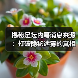 揭秘足坛内幕消息来源:打破隐秘迷雾的真相大曝光(图2) 揭秘足坛内幕消息来源:打破隐秘迷雾的真相大曝光(图2)