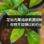 足坛内幕消息来源揭秘:你绝不能错过的行业内幕(图3) 足坛内幕消息来源揭秘:你绝不能错过的行业内幕(图3)