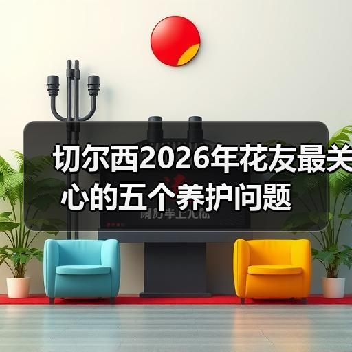 切尔西2026年花友最关心的五个养护问题